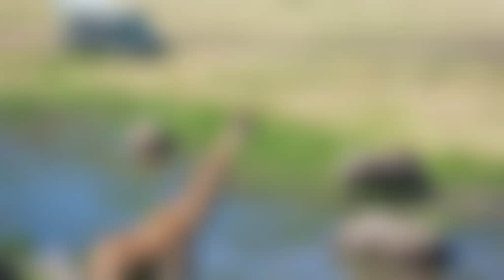 199A401A80Cd56B5E95E4Ea78Eab16F5