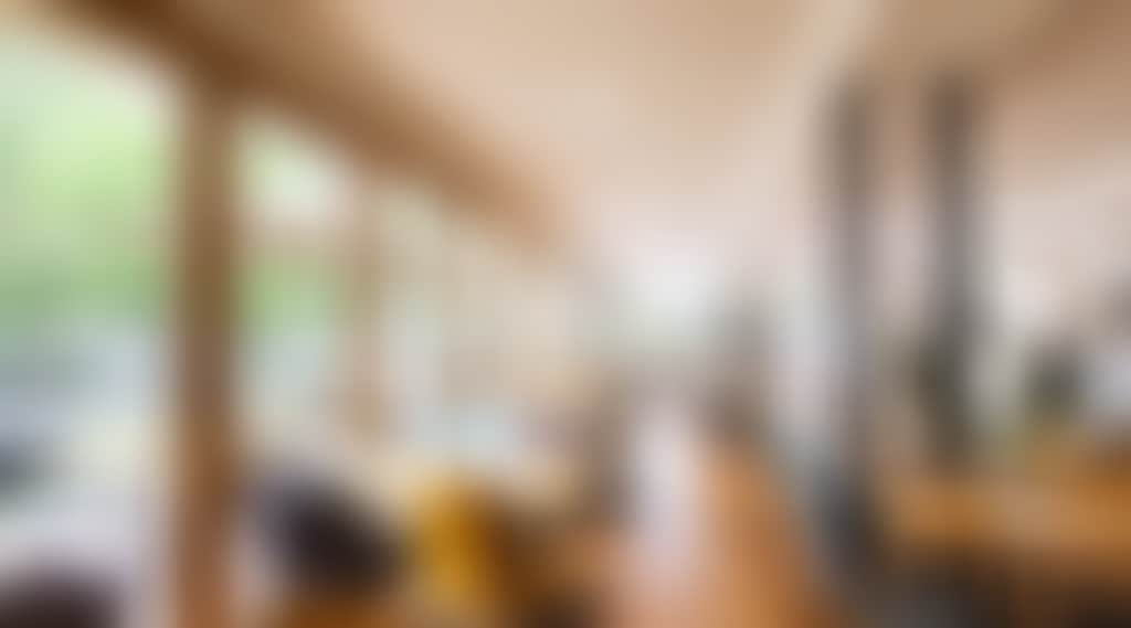 Rudimentary 7742 Web