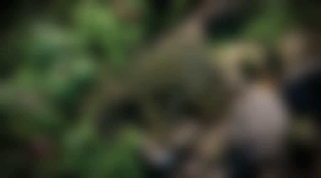 84F9Ec3Ed402D702Cb07988D93Cda704