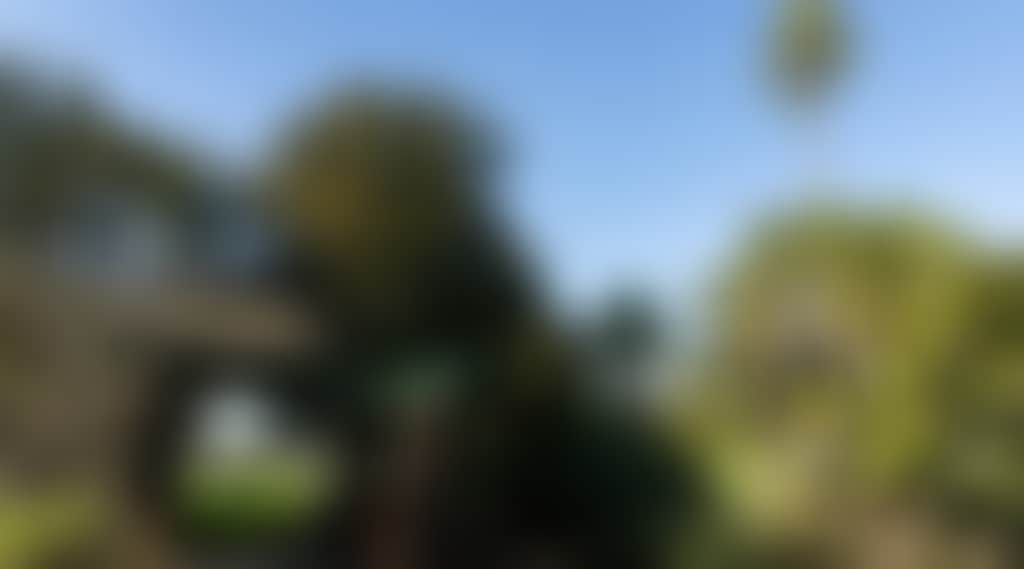 24De9075320Fbc65591Fabbe5F438Ba0