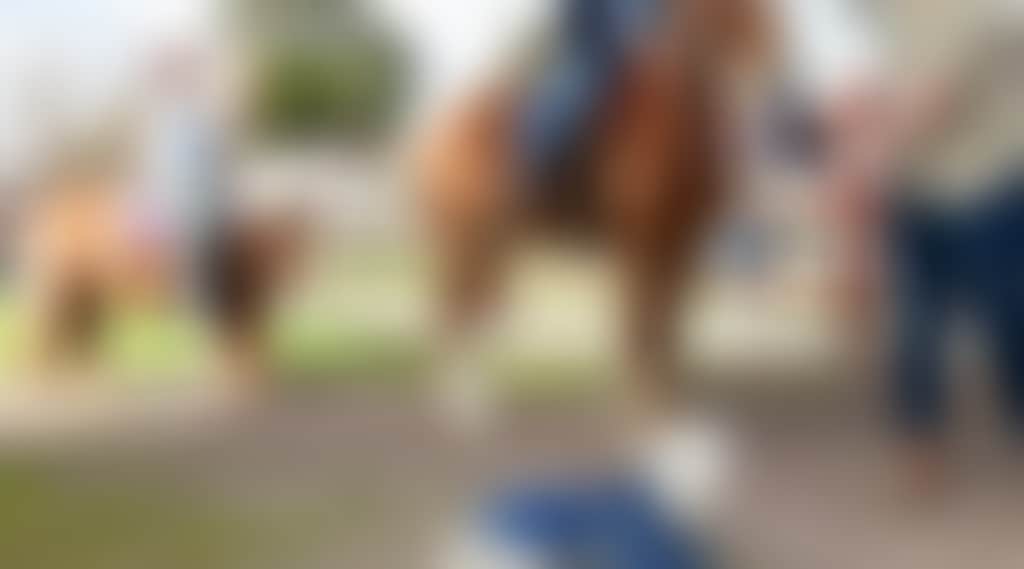 3E2F8Da42C5530B4833Da5Bf2A78Cc79