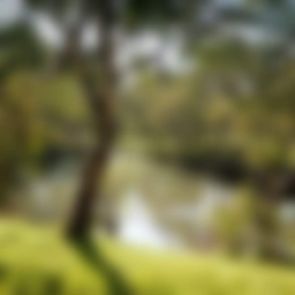 Kororoit creek 2