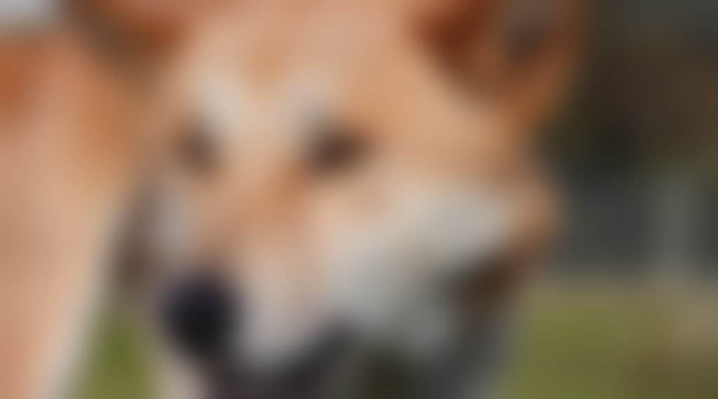 Be964996F1166Dbd02A6D8Fa1630990C