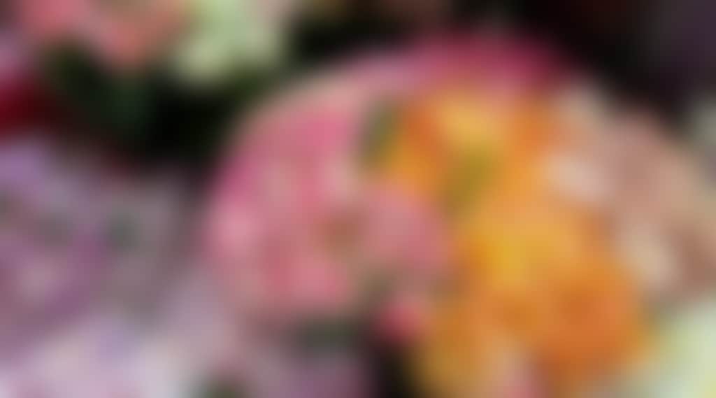 7F456A3Ec0Fbb15F05A359A56B4C6042