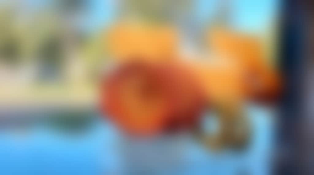 365857558192781199A283Ffe1355C1B