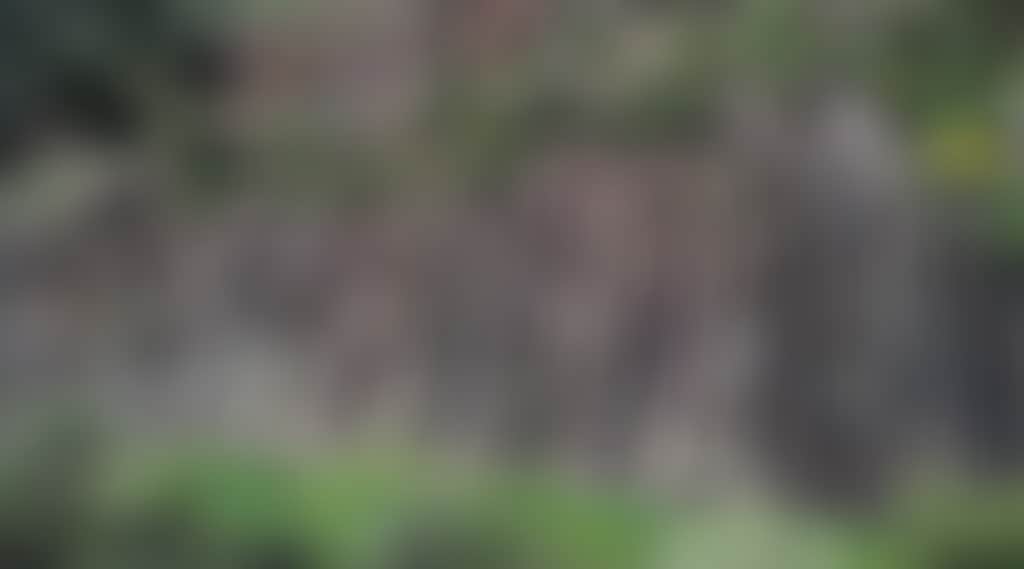 D1Dd45D350B26940C032F956C80B2F94