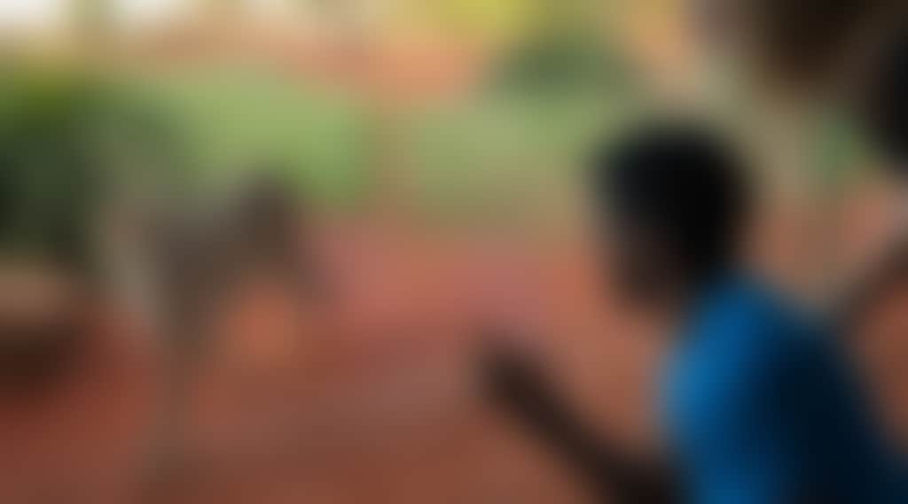 Original__9282665_Ba17__Mg_5532_O5Uv8Dp