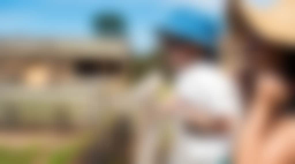 56165E04D6F93F14B5E2E9916886B63A