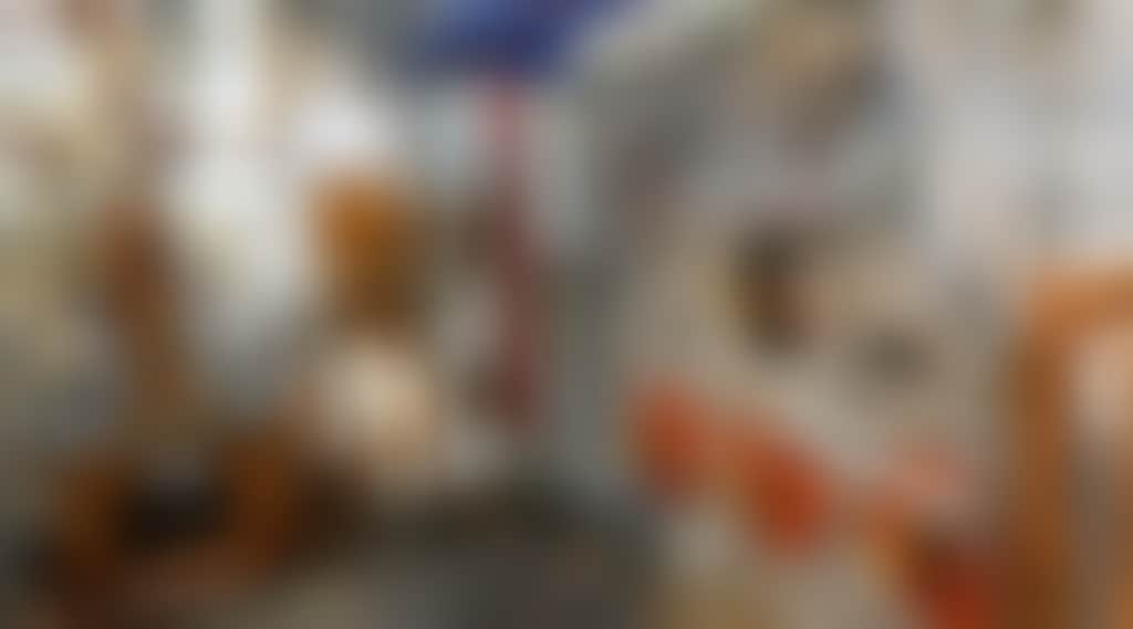 4D4A8C67B40199B6E1009E50767Df916