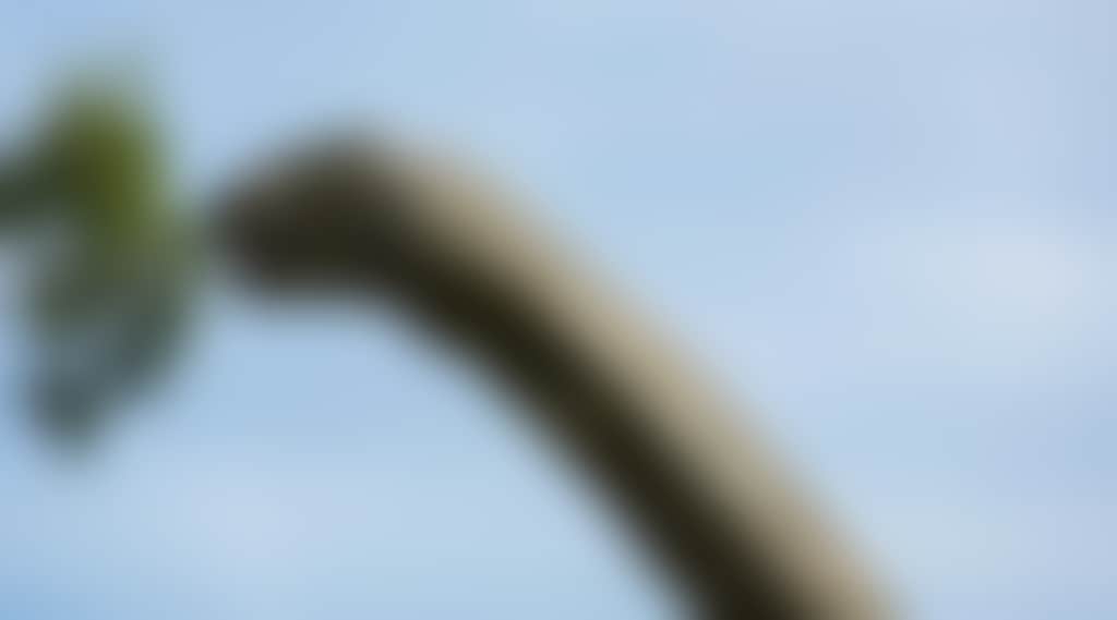 A3D030780Ad31C95A7Ee464048589B40