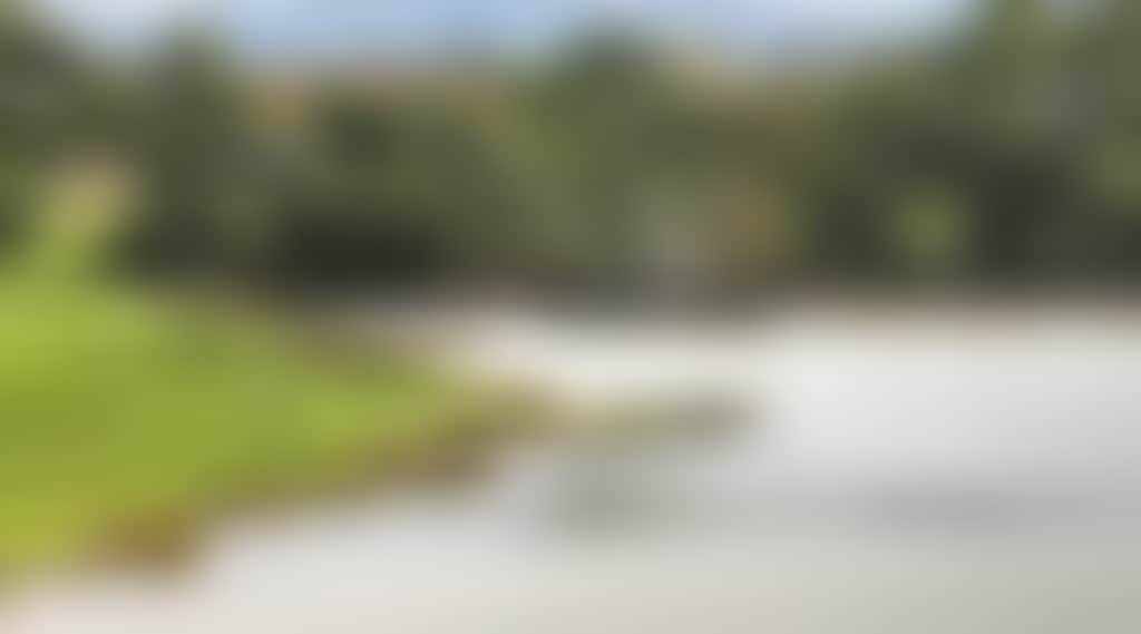 A0F32B657E95350A41920C96784938B4