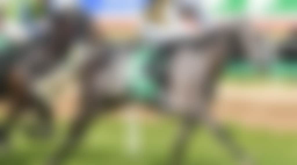 6A233F04C070Cedde5D35B8E493E1Afd_04Eykox_2Y9Pex4_Sa6Pbc9_6T9Lp6I_Yffnj9M