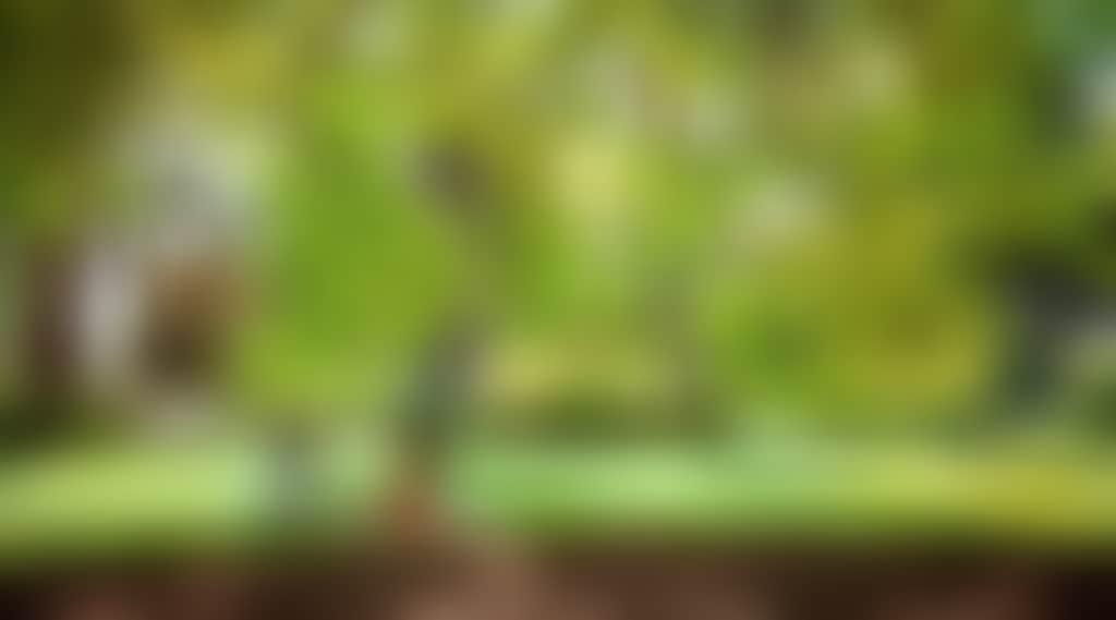 34Ecbe585E4Dde9D2353C8Bd07F8Fcbf