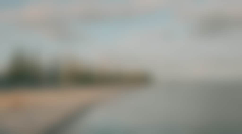 16256A87Df0C7D5B423823085550F274