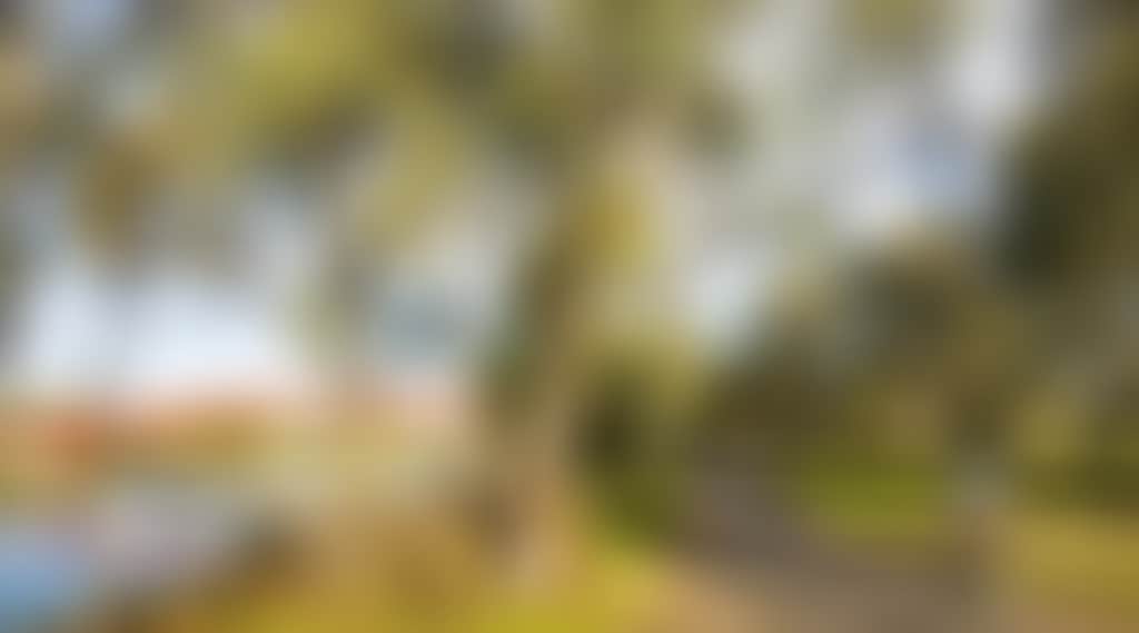 C12385B720218Aa3Cf4F45B177Ca68Bb