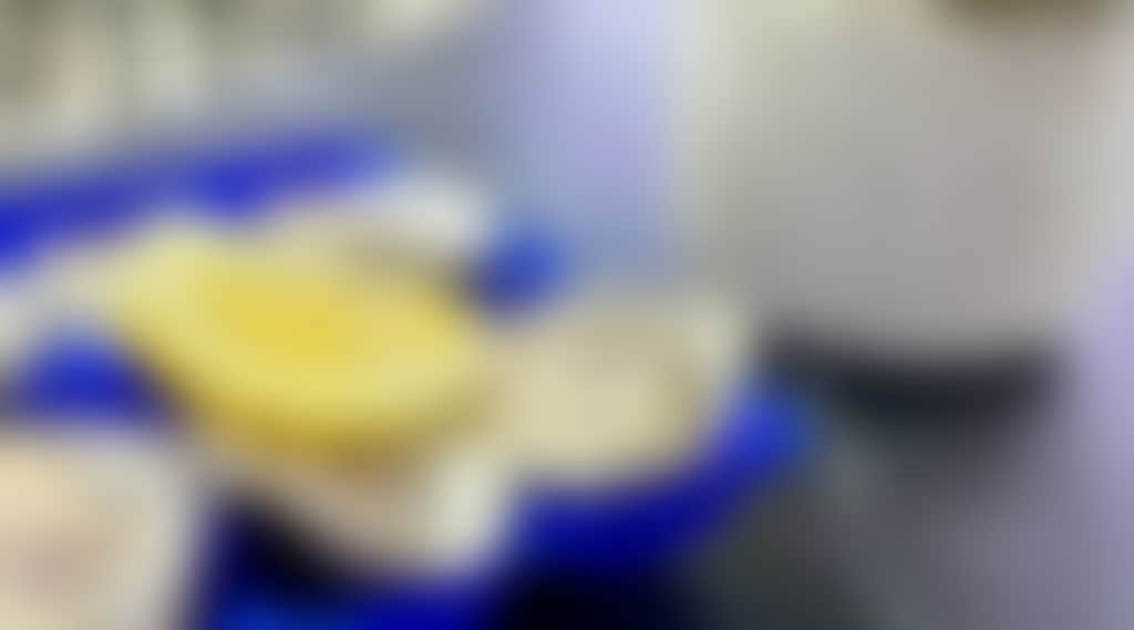 Bfc50A0Fd8301B1677Ffcc08521719Fa