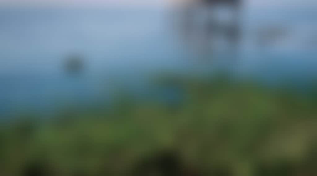 Ee73078253302843Dcaa448548Ef4F22