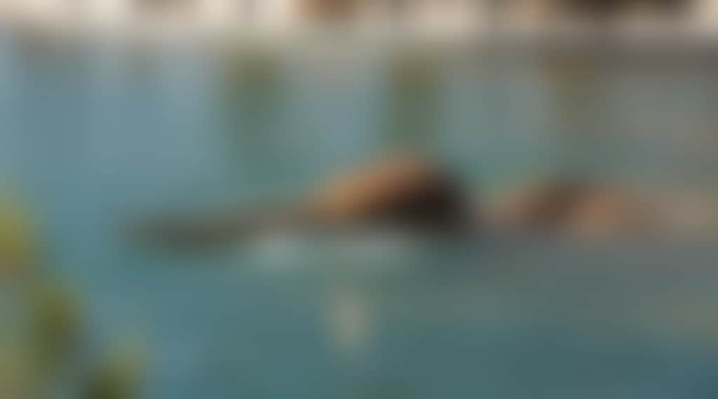 0B4442684Cae8Ceba7A1Fa97Daad0886