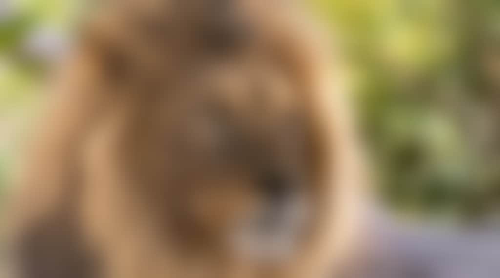 659E1C5216636B4Af0C76556597D56A6