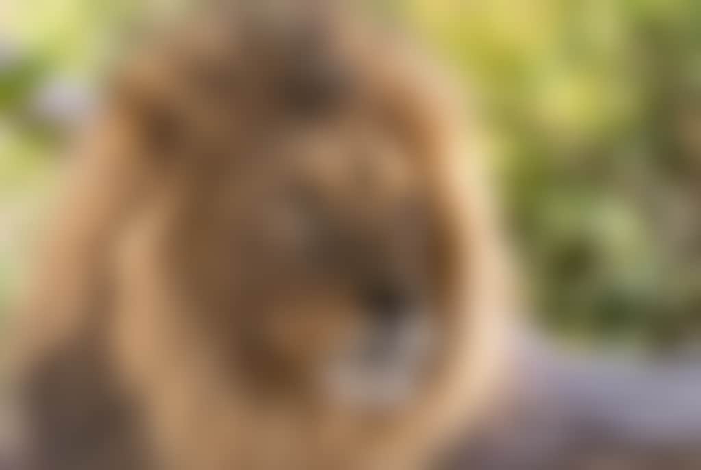 659E1C5216636B4Af0C76556597D56A6