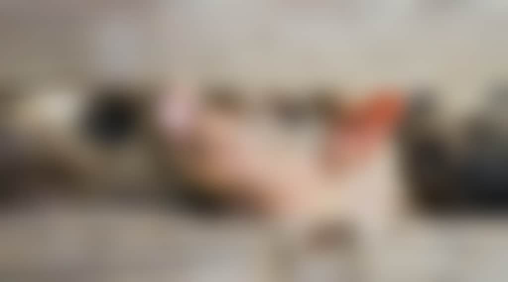 83153Eb91Fc8B5B3B3E06Ff98F30B195