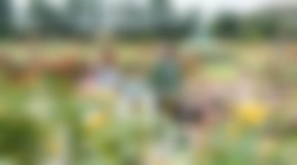 8096685A21A1066C736C52389F361Ef4