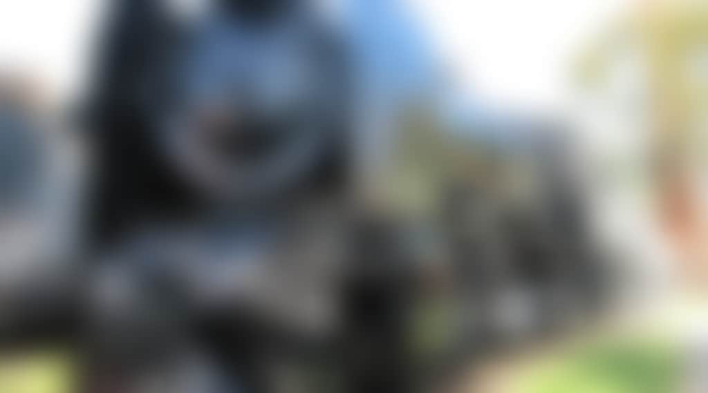 01B6C1573C0527059219D0770Ff2364F