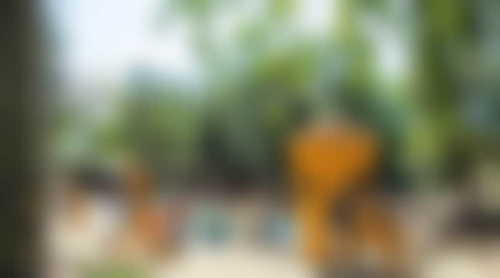 0Fa7A20595D28A7290F3E6A035206E4B