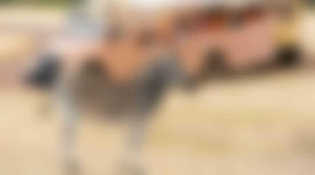 A8F1E9A0A21Cdde6E7Efeed87Bd0E595