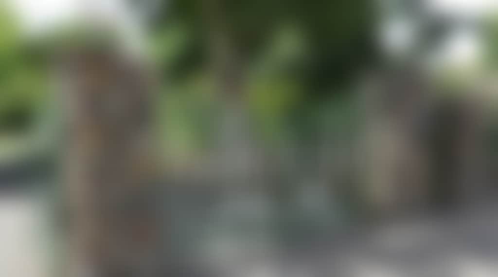 3B39C659Efefe6Ed895Ca1E01D56F4Ab