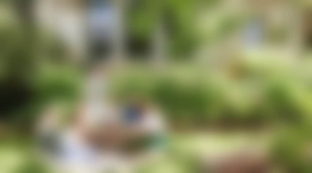 7Ba9Fea308Fa11C43378C32541738Dc2