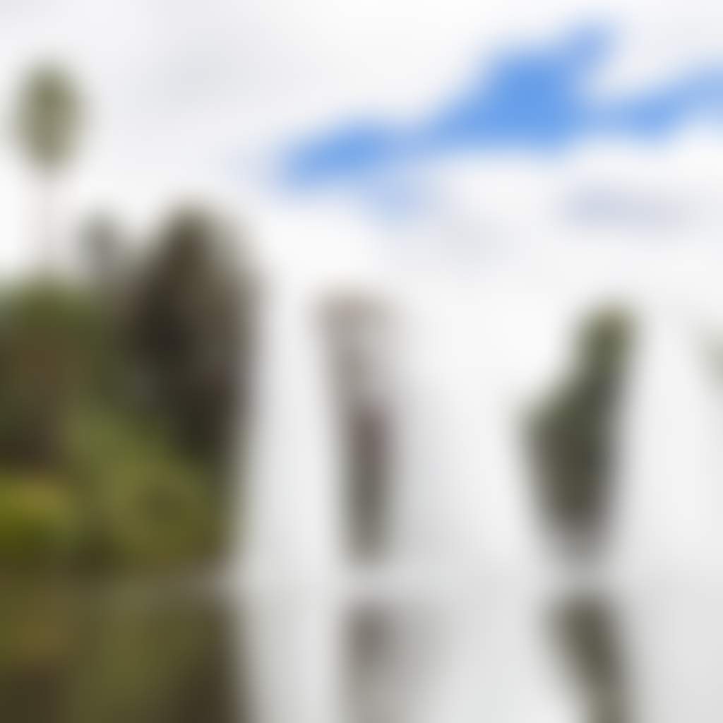 Queens Park 2863 large