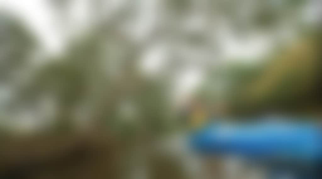 E05De65F99A4E99D01873877672Aa732