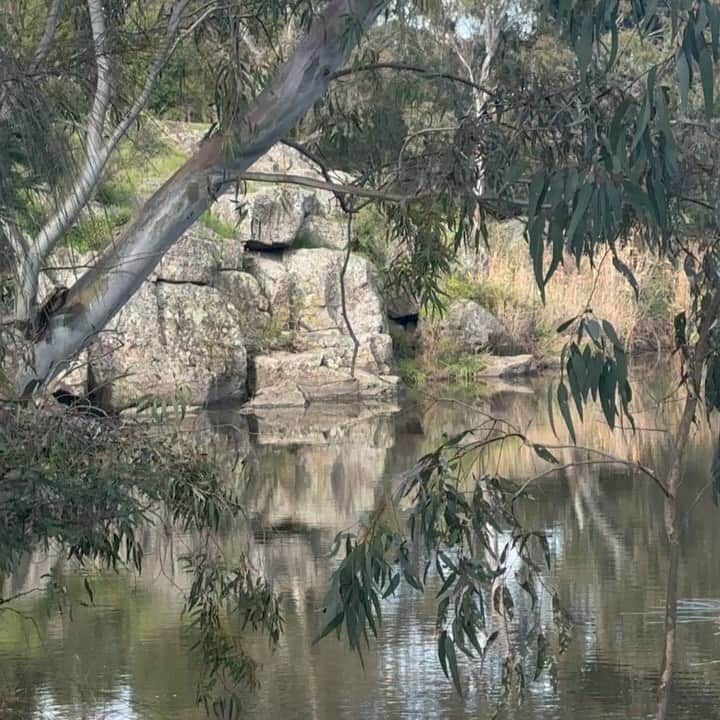 lovewestsidemelbourne