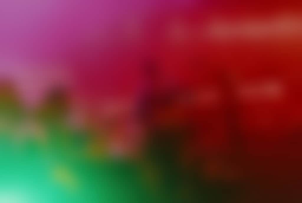 4328830953D20Fdd06Cdf08Cbb00Bf8A