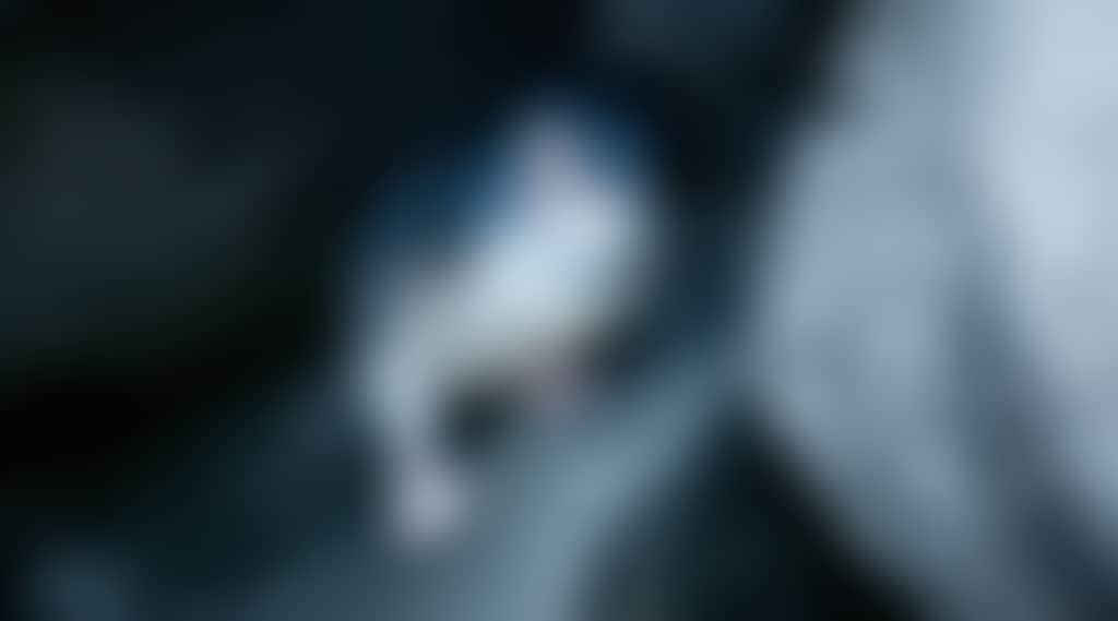 B6Bb97901454Cff8641C8935C12Fc039