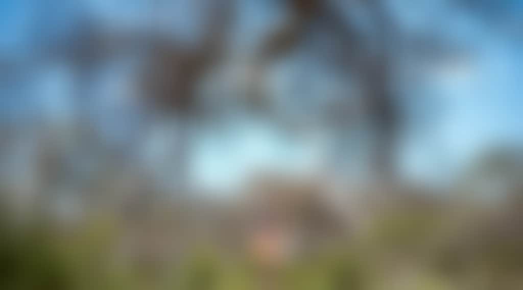 0C4692Fc1B0Acbec76B2014Bc2F1896A