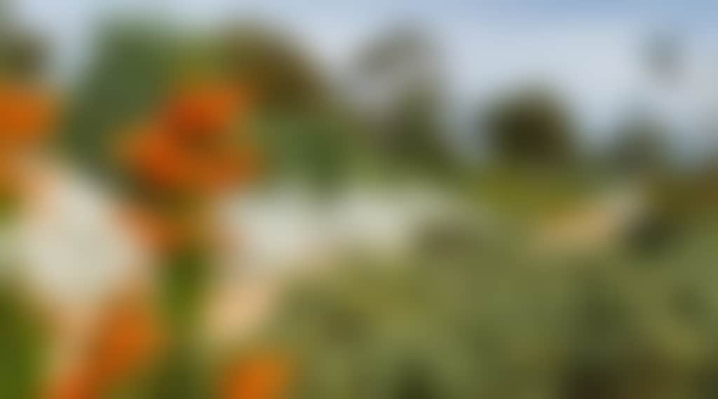 D93D33449E8B0D9Fbbe998C308D0Dfbd