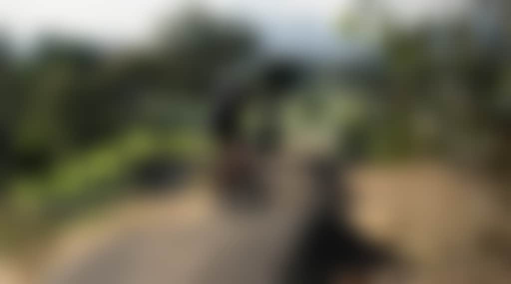 2326Ddc249E13Ed8786Cd61Fe62Bbc4B