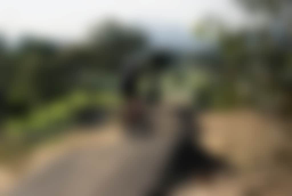 2326Ddc249E13Ed8786Cd61Fe62Bbc4B