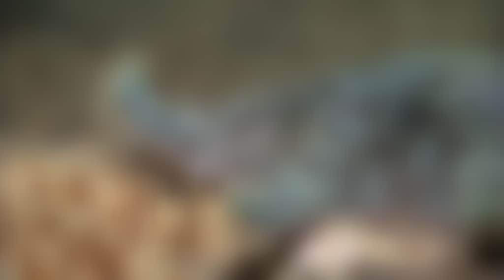 2085C6B1F07Ea37C37D2A336C5D5B89F