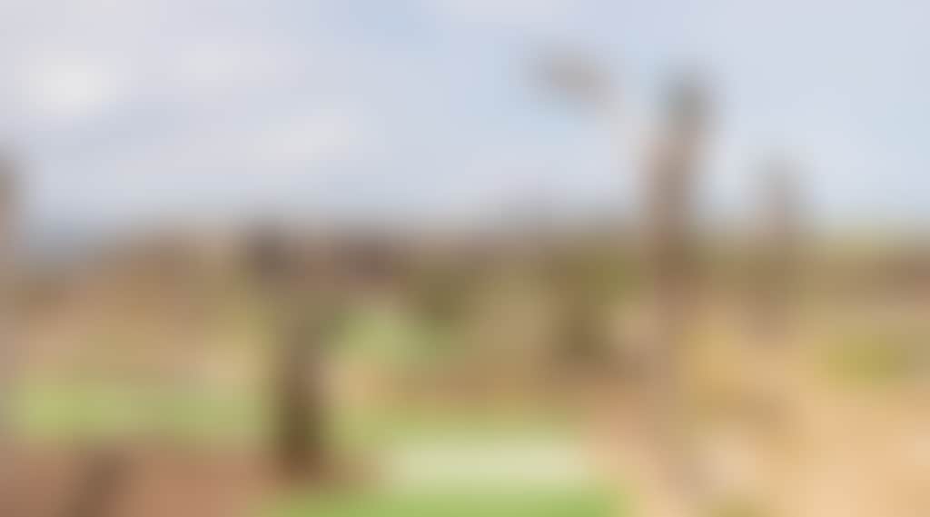 38945 people playing mini golf at The Elements Coastal Activity Park