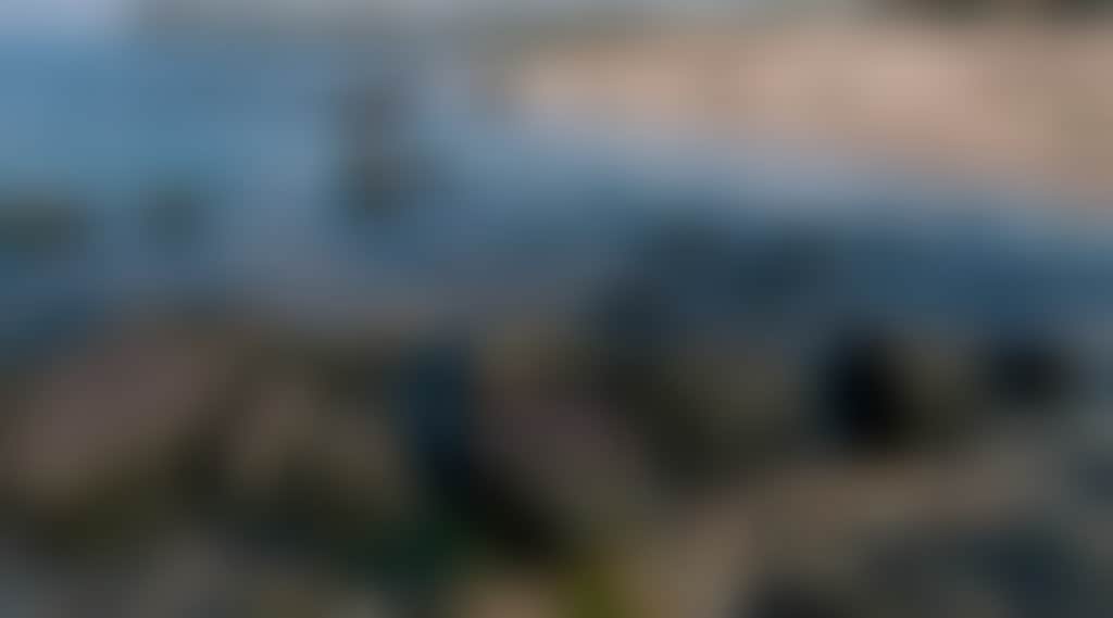 228Ac61B8047089Cafc7406F4D8D907A