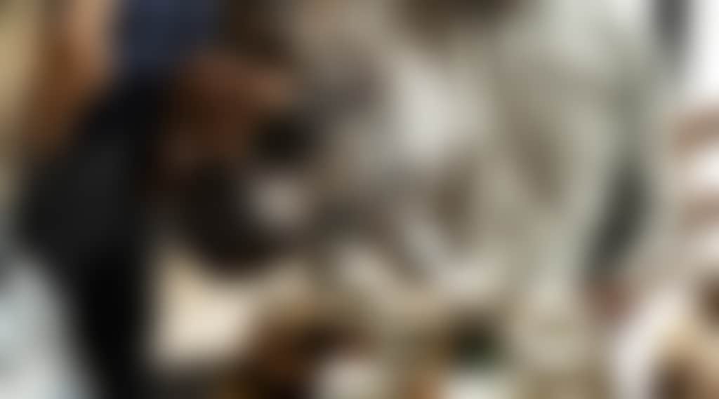 Brimbank Council Gojo 2