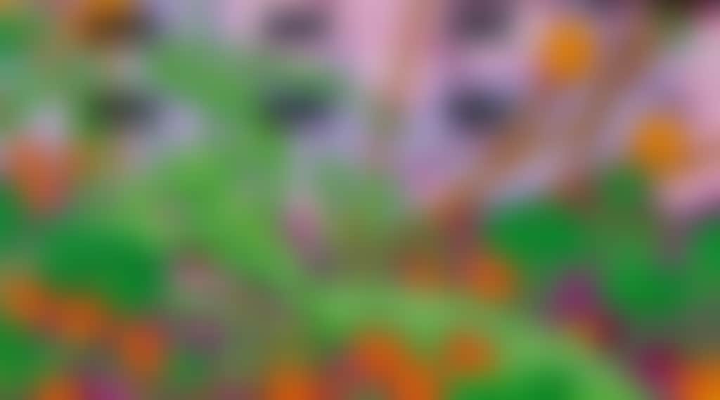 A9698A53Ca195A2Dda3841A0891074D9