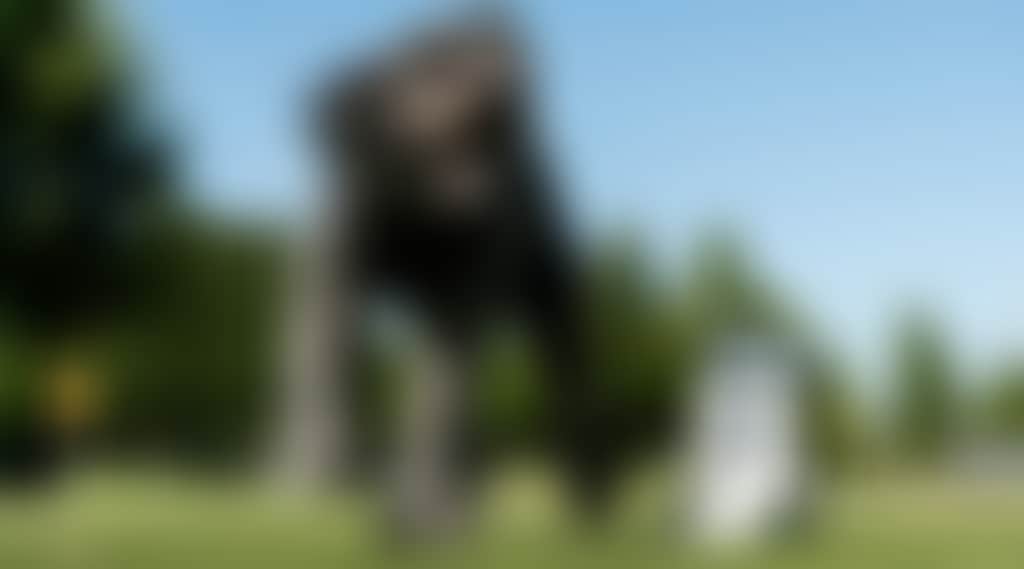 9E84B4E77B2Effaa0A9A944Cc511Cb6B