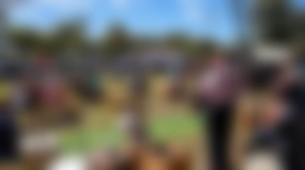 57863974Ed591A70D64D4C016A9E6Ec5