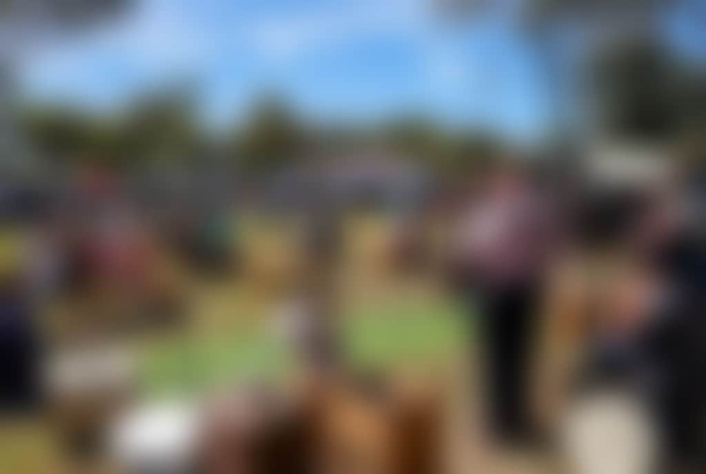 57863974Ed591A70D64D4C016A9E6Ec5