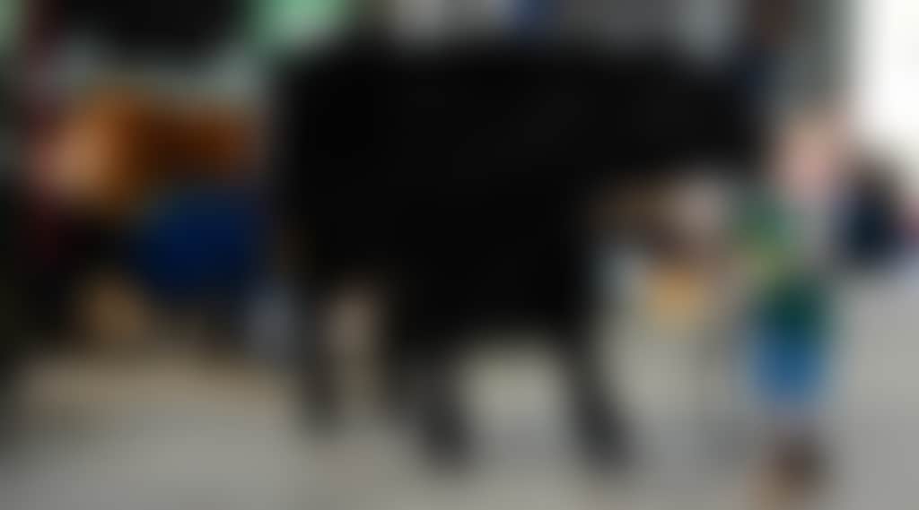 F19Dd23927C8Ada28B59Adfd9403178F