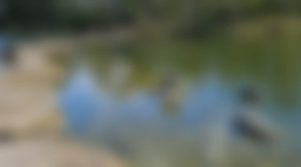 6C2Ded4Fd156B6214D6E697Fc794E6B1